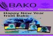 Bako Business January 2015