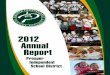 PISD Annual Report 2012