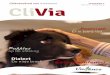 Viattence clivia web februari maart 2014