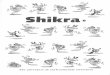 Shikra Issue 8 (English)