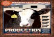 Werning Cattle Co Catalog 2015