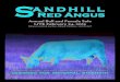 Sandhill Red Angus - 2015 Bull and Female Sale