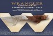 Wrangler Made Charolais Bull Sale 2015