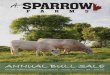 A Sparrow Farms Annual Charolais Bull Sale 2015