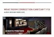 What Room Correction Can Fix - Audio Design Services