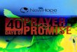 40 Days of Prayer & Promise