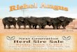 Rishel Angus - 33rd Annual 'Next Generation' Herd Sire Sale