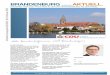 CDU-Infobrief 0215