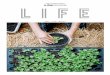 a day BULLETIN LIFE issue 51