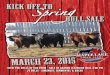 Kick Off To Spring Bull Sale