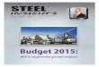 Steel Insights March 2015