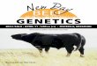 2015 New Day Genetics Bull Sale