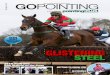 Go Pointing | 25 March 2015