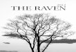The Raven 2012