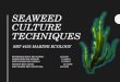 Seaweed Culture Techniques