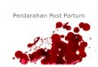 Perdarahan Post Partum-1