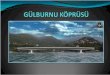Gülburnu Köprüsü Sunum