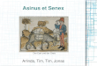Asinus Et Senex