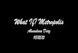 What if Metropolis - Crit Presentation