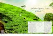 WJ 04122015_Teereise Sri Lanka.pdf