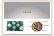 4.Virus Infecciones Virales
