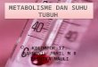 Metabolisme Dan Suhu Tubuh2