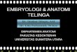 K1- Anatomi- Embriologi Dan Anatomi Telinga