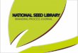 Seed Library Branding