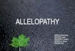 Allelopathy Ppt. Edited