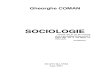 -   COMAN GHEORGHE - Sociologie.pdf