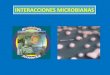 Clase 3. Interacciones Microbianas