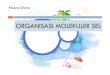 3. Organisasi Molekuler Sel