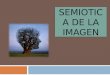 Semiotica de La Imagen- PIA FINAL