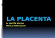 5 .- Ecografia Placenta - Cordon Umbilical