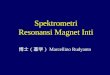 Spektrometri resonansi magnet inti
