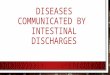 Diseases communicated by.pptx