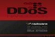 Radware DDoS Handbook 2015