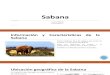 Diapositivas Exposición Sabana. Ecología y Educación Ambiental