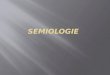 Semiologie III