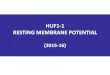 1.HUF1-1 Resting Membrane Potential 2015-16