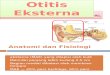 Presentation Otitis Eksterna