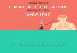 How Does Crack Cocaine Affect the Brain?