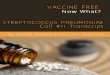 Vaccine Free Now What Transcript Lesson11