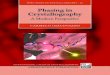 Phasing in Crystallography a Modern Perspective (Iucr Texts on Crystallography) by Carmelo Giacovazzo