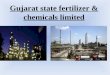 Gujarat State Fertilizer & Chemicals Limited