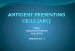 Antigen Precenting Cells (APC)