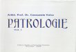 228296669 Arhid Prof Dr Constantin Voicu Patrologie Vol I