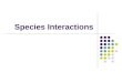 Species Interactions. When organisms live together in a community, they interact constantly. These interactions help shape the ecosystem they live in