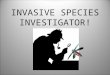 INVASIVE SPECIES INVESTIGATOR!. WHAT IS A NATIVE SPECIES? Every kind of animal, plant, or micro- organism has a home where it has existed for thousands