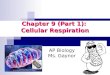 Chapter 9 (Part 1): Cellular Respiration AP Biology Ms. Gaynor